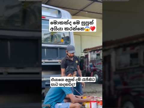 සුපුන් අයියගෙවැඩ♥️#busworld #automobile#newbusvideo #vahicles#slvehicle#trending #dhamrejini#driver