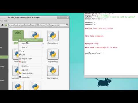 Python for Kids - Turtle module Beginner - Hex Head