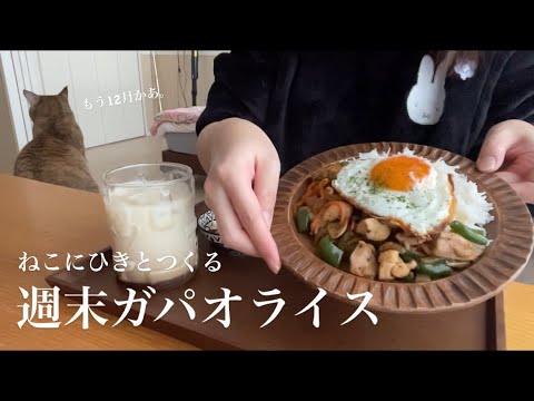 ガパオライス大好き人間がつくるバスマティライスのガパオの巻