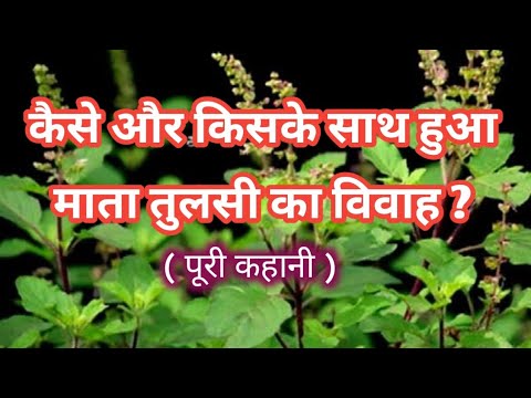 Tulsi Vivaah Katha || तुलसी विवाह 2024 ||#tulsi #tulsivivah2024 #viralshort