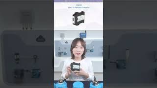 Microcyber Corporation--G1013 HART to FF Gateway--10% Discount--fang.siqi@microcyber.cn