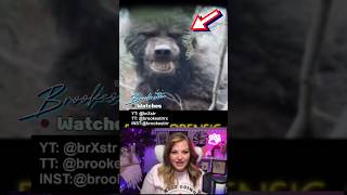 Best DOGMAN Footage: PROOF They Exist! #dogman #cryptids #cryptozoology #scaryvideos #reactionvideo