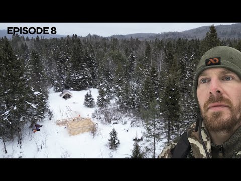 Winter Log Cabin Build on Off-Grid Homestead |EP8|