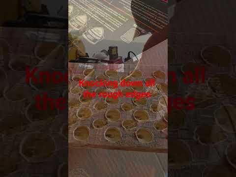Sluicegoose updated #shorts #viral #gold #diy #fyp
