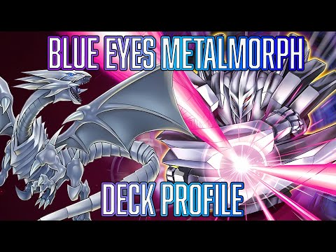 YUGIOH Blue Eyes White Dragon Metalmorph SUPER BUDGET Deck Profile