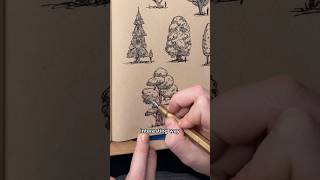 Never skip this tree drawing exercise!