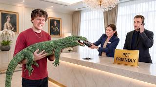 I Tested ‘Pet Friendly’ Hotels with Exotic Animals