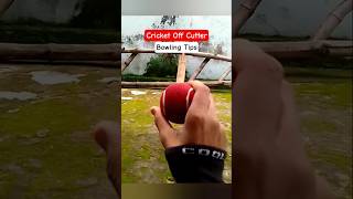 Cricket Off Cutter Bowling Tips #cricket #viralcricketshorts #ytcricketshorts #trendingcricketshorts
