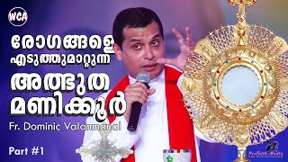 രോഗങ്ങളെ എടുത്തുമാറ്റുന്ന അത്ഭുത മണിക്കൂര്‍ | Part #1 | Fr Dominic Valanmanal