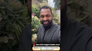 ✨ഫ്രാൻസിസ് പാപ്പയുടെ കല്ലറയിലേക്ക് നിങ്ങളുടെ നിയോഗങ്ങളുമായി...#popefrancis#pope#prayer#intentions