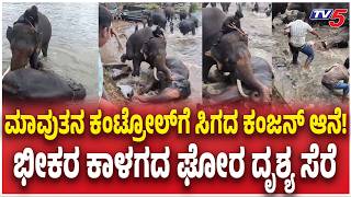 Dubare Elephant Camp Incident | ಮಾವುತನ ಕಂಟ್ರೋಲ್​ಗೆ ಸಿಗದ ಕಂಜನ್ ಆನೆ!ಭೀಕರ ಕಾಳಗದ ಘೋರ ದೃಶ್ಯ ಸೆರೆ