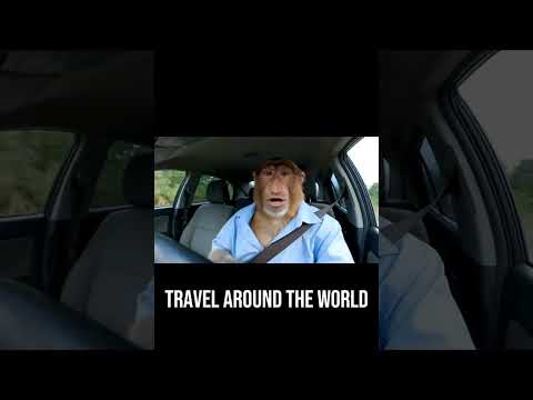Quit his job to travel the world 🌍 - Google Veo 3 #ai
