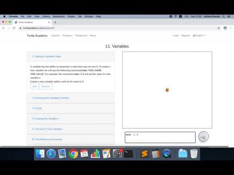 Turtle Academy 11 Variables