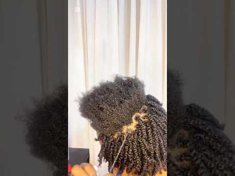 Twist & Protect! #hairinspo #hairstyles #naturalhair #protectivestyles #diyhairstyle #hairstyle