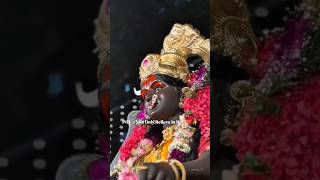 Only Believe in Her❤️ | Shyam Nagar Chi Rajmata |#deviblessings #devi #shyamnagar #yt #shorts