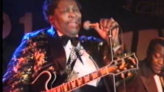 B.B. King Live in Hamburg 1991