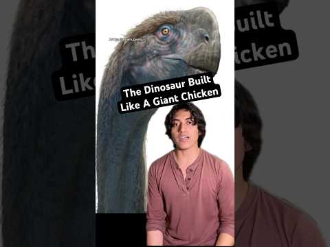 #prehistoric #animals #nature #dinosaur #horror