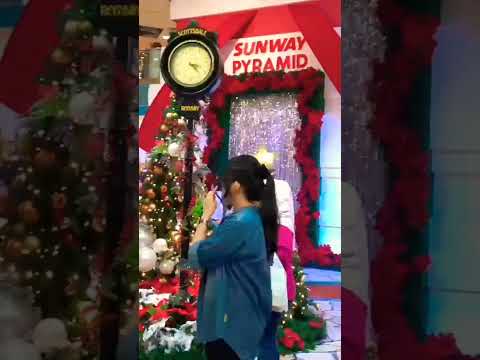 Christmas Festivity🎄 #views #ytshort #shortsvideo #christmastree #christmasmusic #viral #tiktok #fyp
