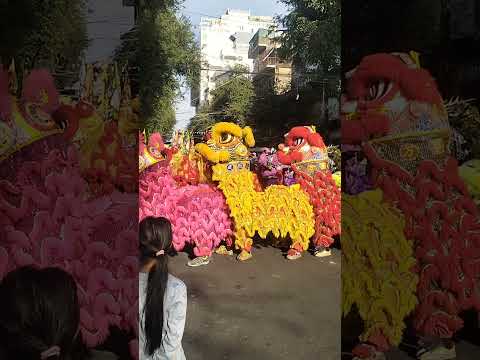 China New Year 2025 #viralvideo #viralshorts #viralreels