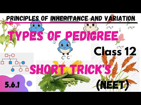 Types of pedigree |5.6.1 | PEDIGREE ANALYSIS | GENETICS | NEETTRICK | NEET SHORT TRICK |BIOLOGYTRICK