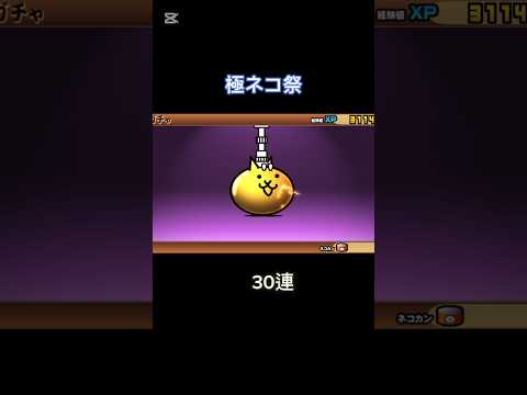 漢なら全ブッパだろ！！  極ネコ祭 30連 #にゃんこ大戦争 #にゃんこ大戦争ガチャ