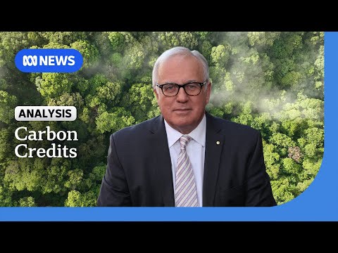 Australia's net-zero emissions plan and carbon offset credits | Alan Kohler | ABC NEWS