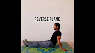 High reverse plank exercise  #plank #shorts #coreworkout #workout #homeworkout