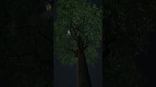 #skyfall #skyback #skypainters #amazing #instasky #skylovers #cloudstagram #naturelovers #epicsky