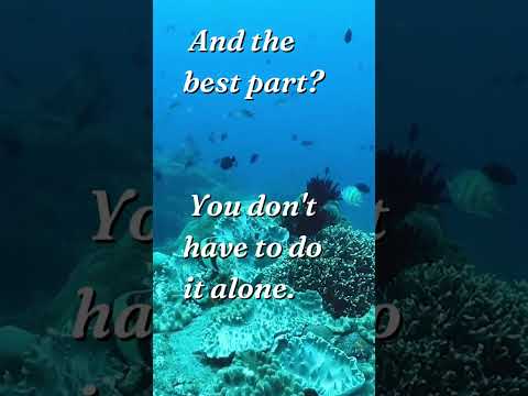 Message For You From Loving Light Of Angels | The Universe Wants You to Know This