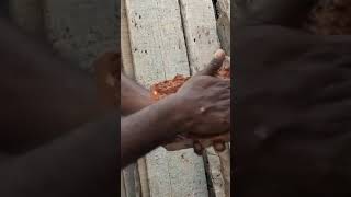 #Mud Interlocking Brick Water Testing