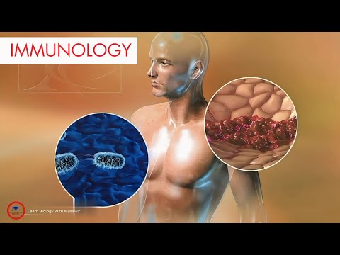 Immunology  | innate and adaptive immunity