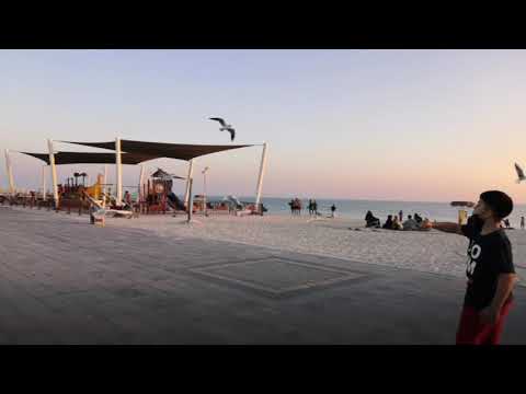 Seagulls At The Beach | Al Hudayriat Beach