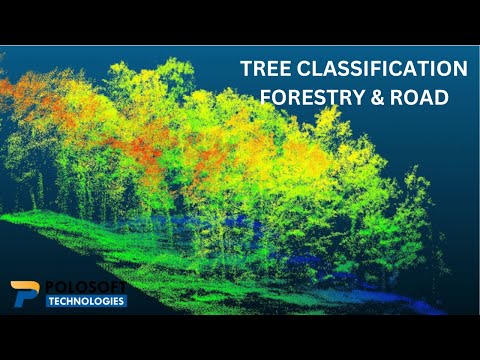 Tree Classification, Forest and Road Tree LiDAR Classification from ALS, ULS, MLS Point Clouds