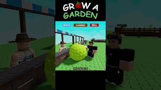 วิธีหาเงิน 700k ใน 1 วิ | Grow A Garden #growagarden #roblox