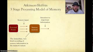 Mr. Becker - Information processing