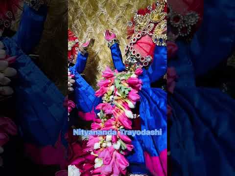 Gaur Nitai🦚🥹🙏🏻#krishna #youtube #gaurnitai #love #shorts