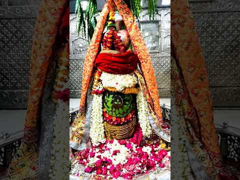 baba mahakal ki gulami #shorts #mahakal