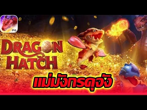 DRAGON HATCH │PG ➤หาค่าหมูกะทะ