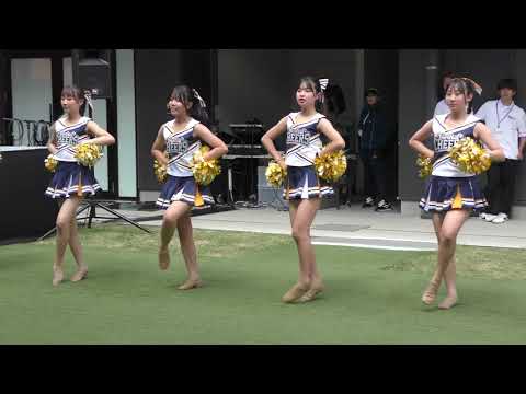 チアダンス博多どんたく2024香椎演舞台Cheer dance