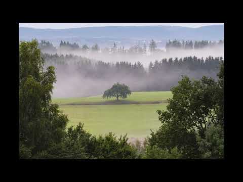 Relaxing -Ambience -Sound -for -Kids 🌿 | Calming -Sleep -Aid, Nap -Time & Focus -Sounds