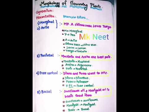 Morphology of flowering plants. Examples.Tricks.Part_8.#mkneet #neet #neet2022