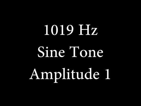 1019 Hz Sine Tone Amplitude 1