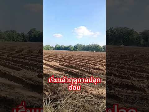 #djit30  #agriculturedrone #คนบ้านเฮา #farming #คนอีสาน