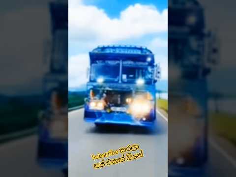සබ්ස්ක්‍රයිබ් 1000 ට යන්න සප් එකක් ඕනේ ❤️ #busdjnonstop #trendingshorts