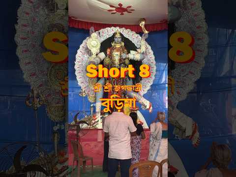 Rhythm of Burima/Jagadhatri Puja  #JagadhatriPuja #BurimaVibes #varamahalakshmi #festivallove