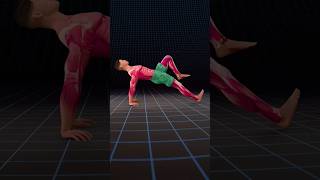 The Reverse Plank is one of the most Underrated exercise #homeworkout #mobility #fitnessshorts