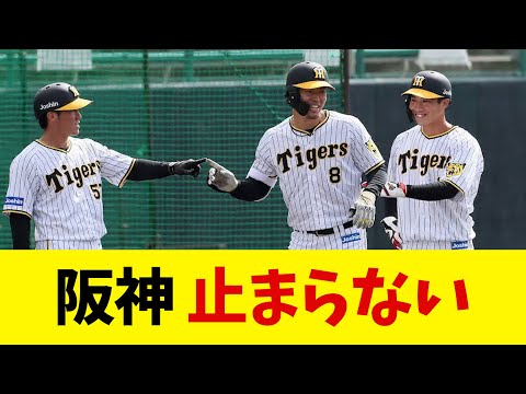 阪神「助っ人いらん」　無双が止まらない【野球情報】【2ch 5ch】【なんJ なんG反応】【野球スレ】