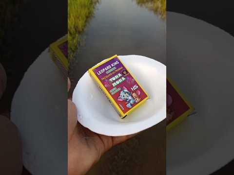 Diwali crackers testing video 2025 | bidi bomb 💣#diwali #viral #fireworks #shorts #testing2025