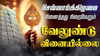 🔴LIVE SONGS | செவ்வாய்க்கிழமை கேட்க வேண்டிய வேலுண்டு வினையில்லை Murugan Song Tamil Murugan Songs