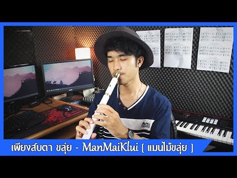 เพียงสบตา Ost.บุพเพสันนิวาส | Thai Flute Cover【แมนไม้ขลุ่ย】3/3